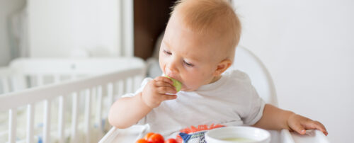 alimentos sólidos para bebés